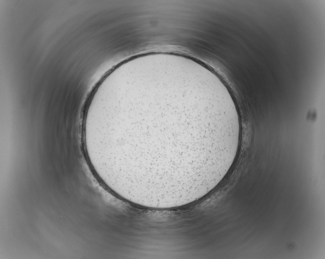 X0000110721046200907101359