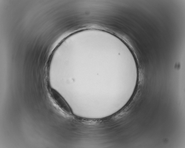 X0000110721048200907101359