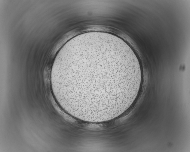 X0000110721049200907101359