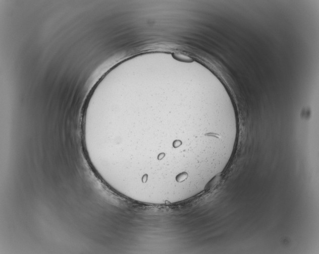 X0000110721050200907101359