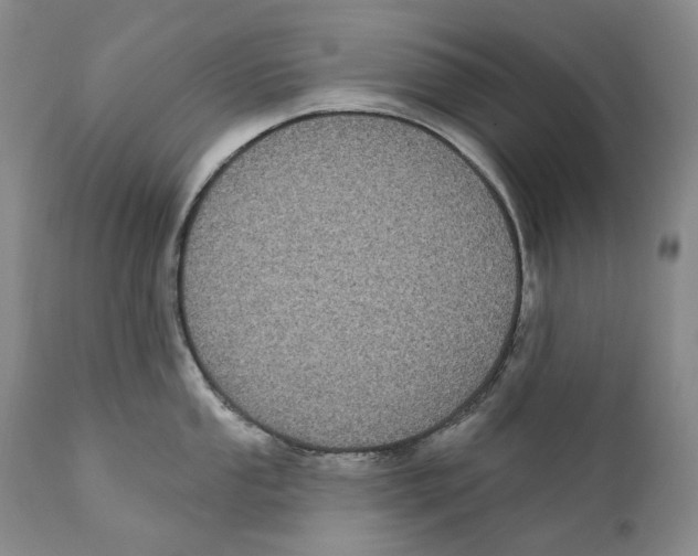 X0000110721053200907101359