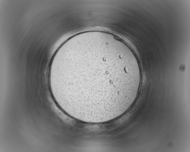 X0000110721054200907101359