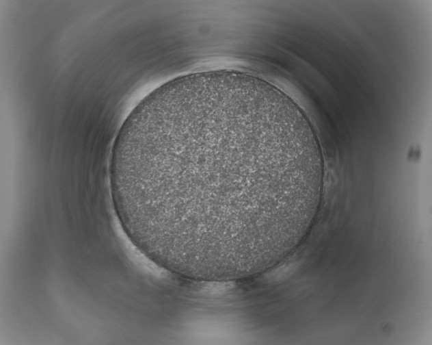 X0000110721055200907101359