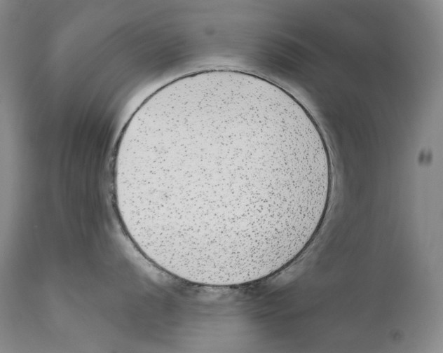 X0000110721056200907101359