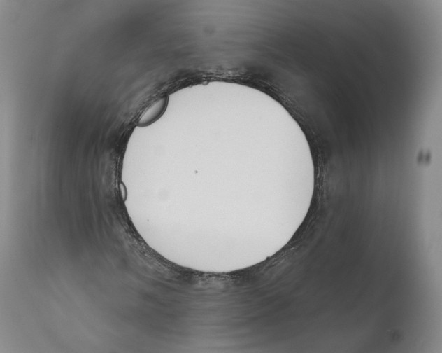 X0000110721058200907101359