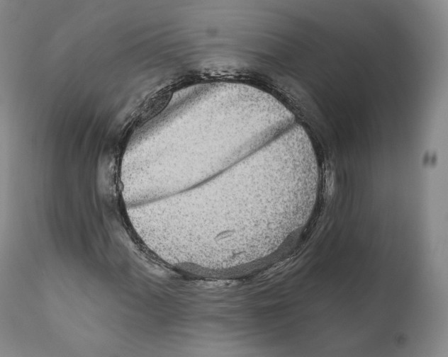 X0000110721060200907101359