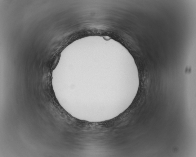 X0000110721061200907101359