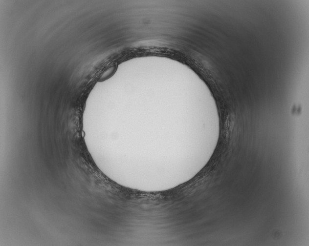 X0000110721062200907101359