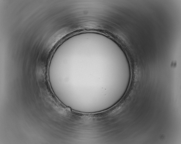 X0000110721065200907101359