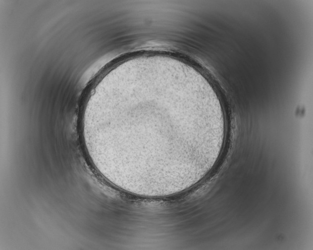 X0000110721066200907101359