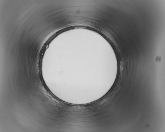 X0000110721068200907101358