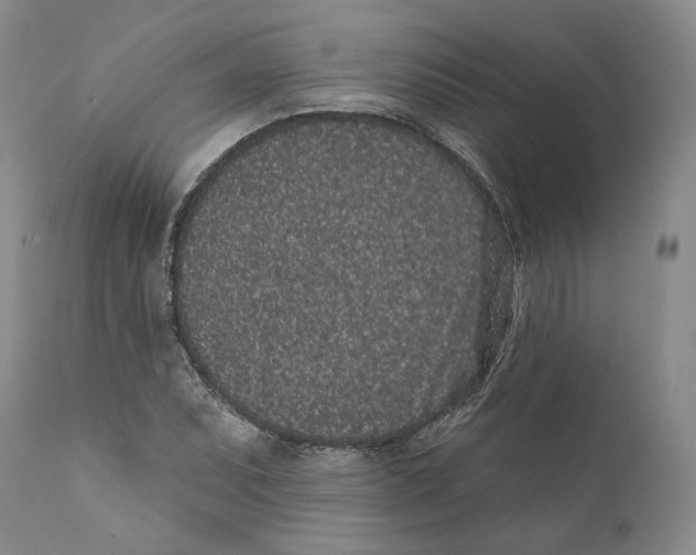 X0000110721071200907101358