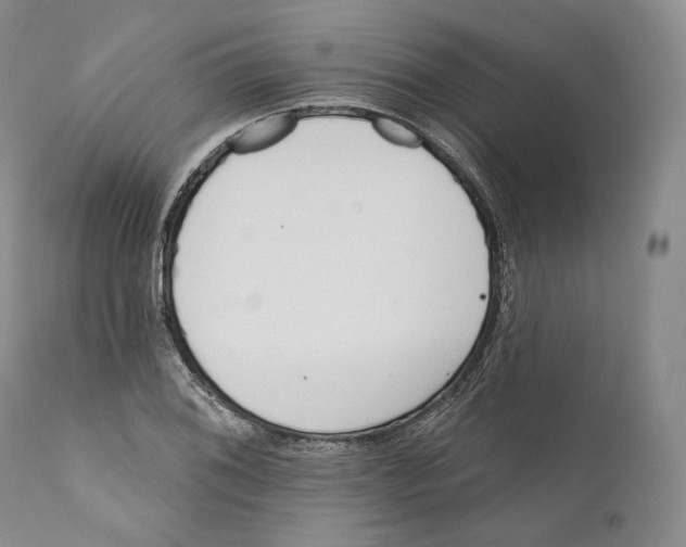 X0000110721076200907101358