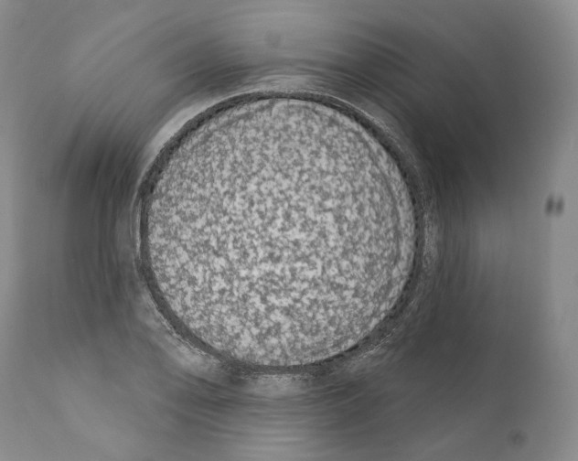 X0000110721078200907101358