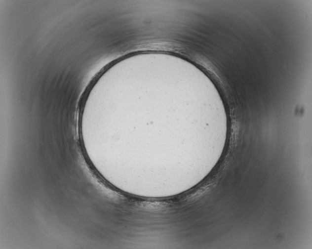 X0000110721079200907101358