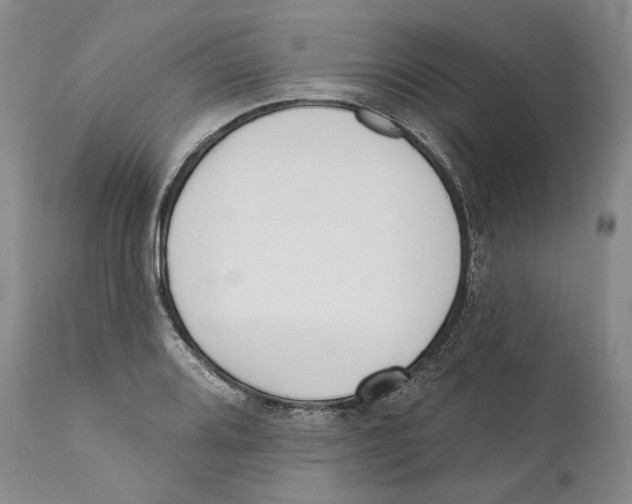 X0000110721080200907101358