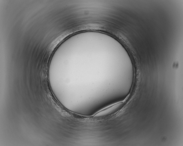 X0000110721081200907101358