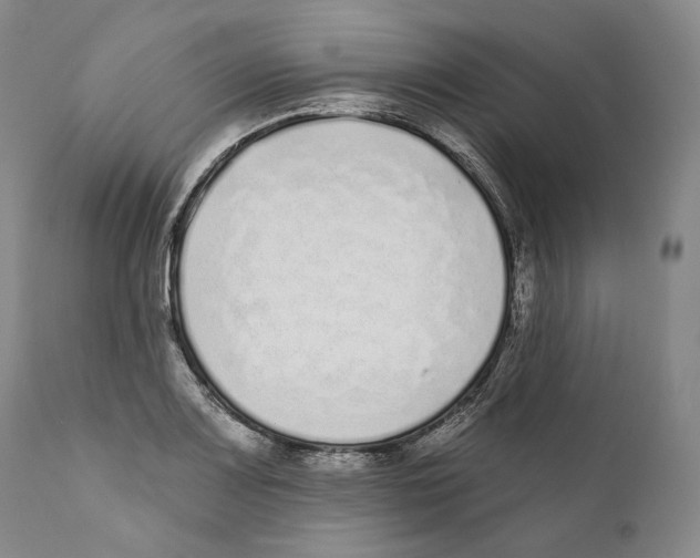 X0000110721083200907101358