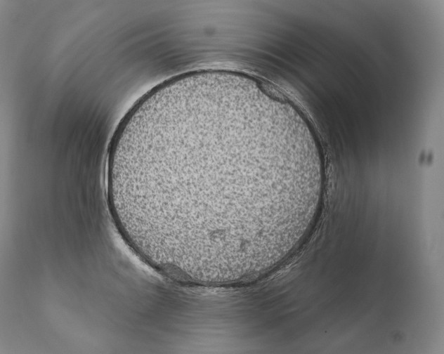 X0000110721084200907101358