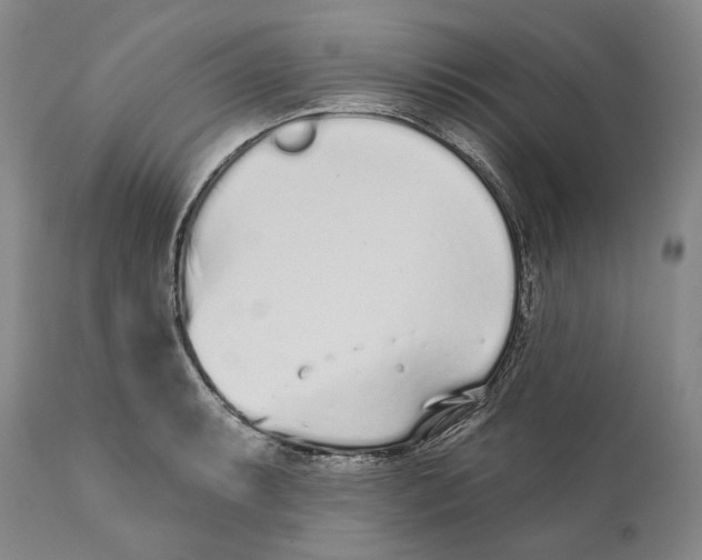 X0000110721087200907101358