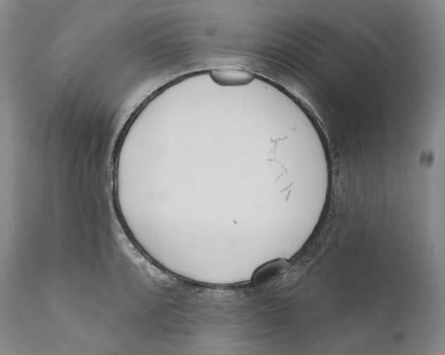 X0000110721088200907101358