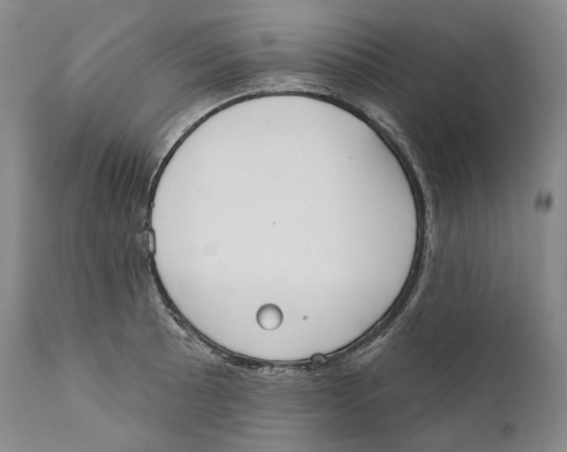 X0000110721089200907101358