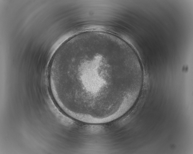 X0000110721090200907101358