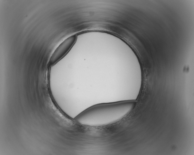 X0000110721092200907101358