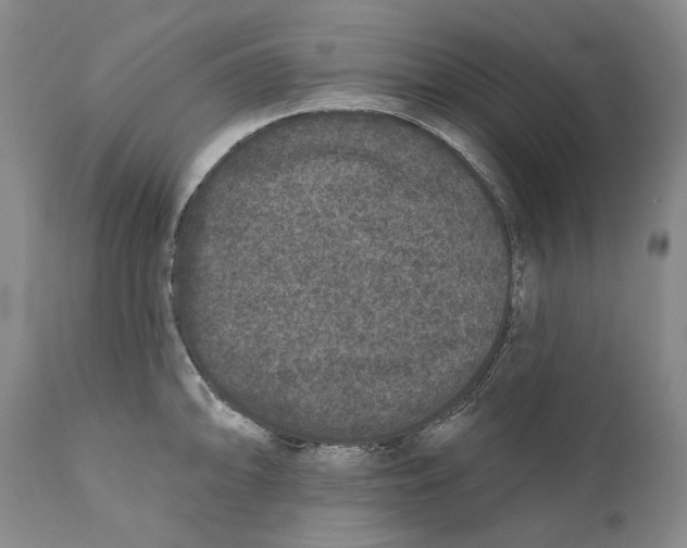 X0000110721094200907101358