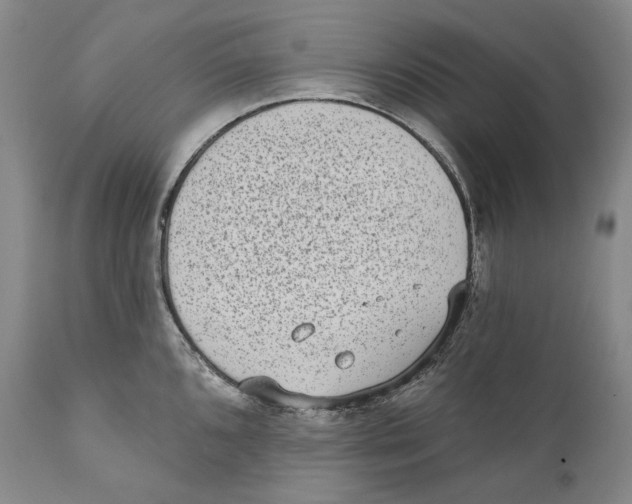 X0000110721096200907101358