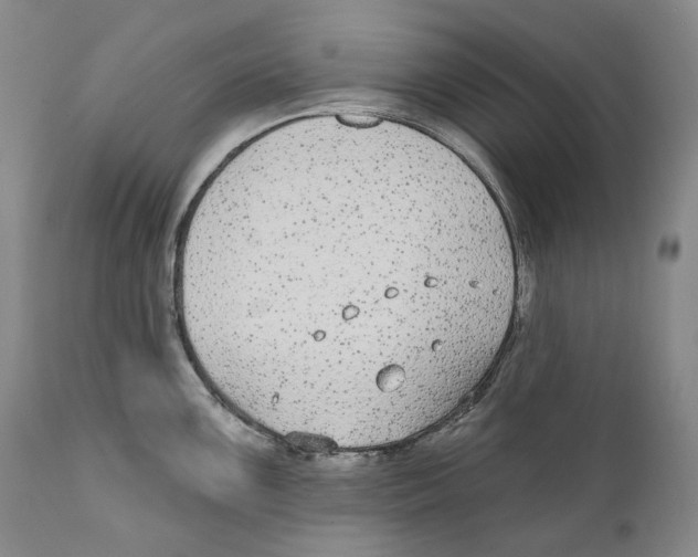 X0000110721099200907101358