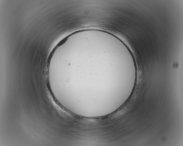 X0000110721101200907101358