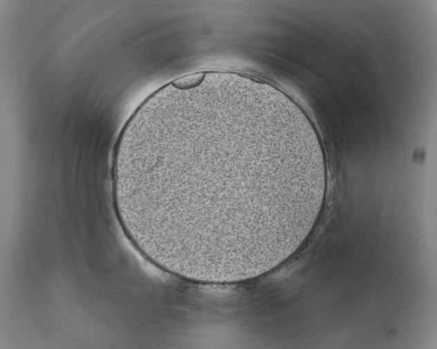 X0000110721103200907101357