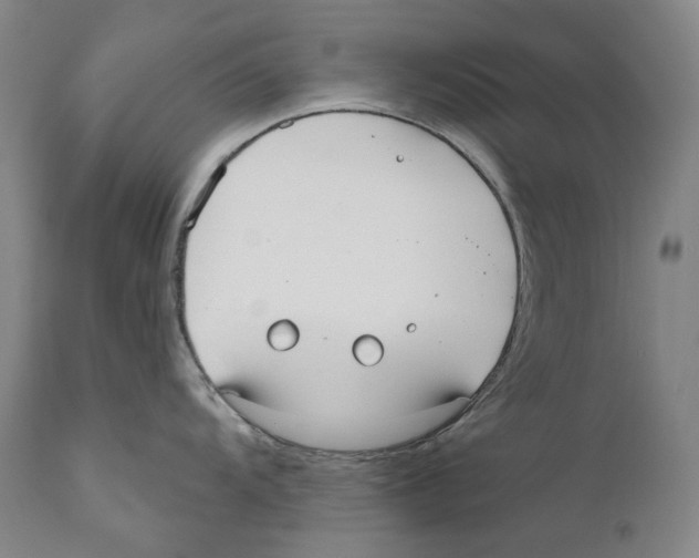 X0000110721104200907101357