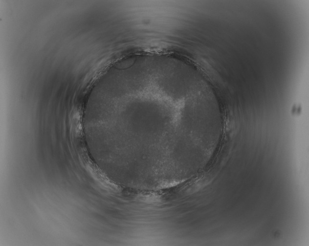 X0000110721106200907101357