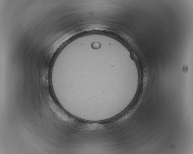 X0000110721113200907101357