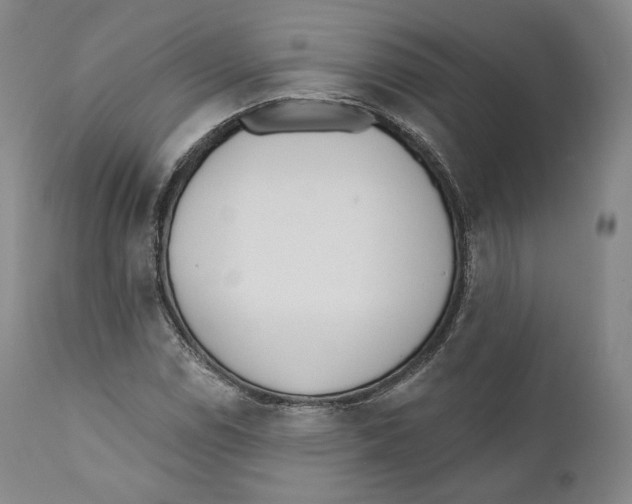 X0000110721114200907101357