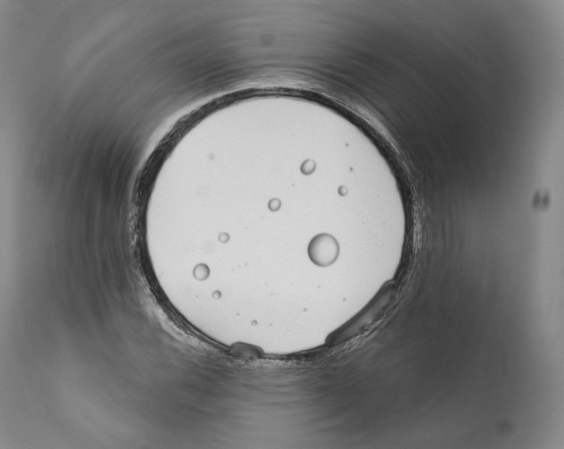 X0000110721116200907101357