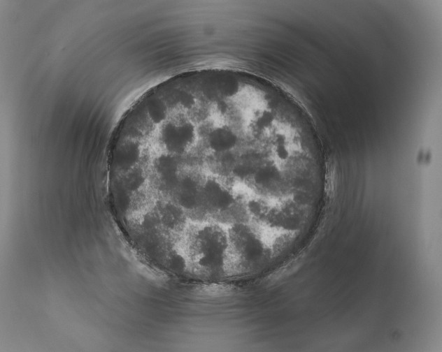 X0000110721117200907101357