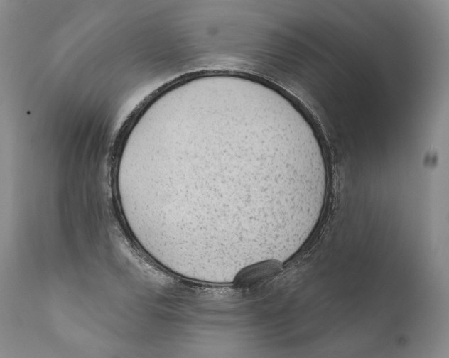 X0000110721120200907101357