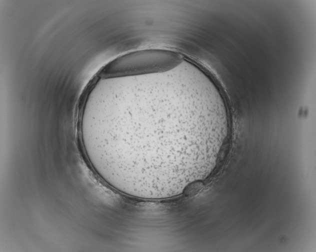 X0000110721124200907101357