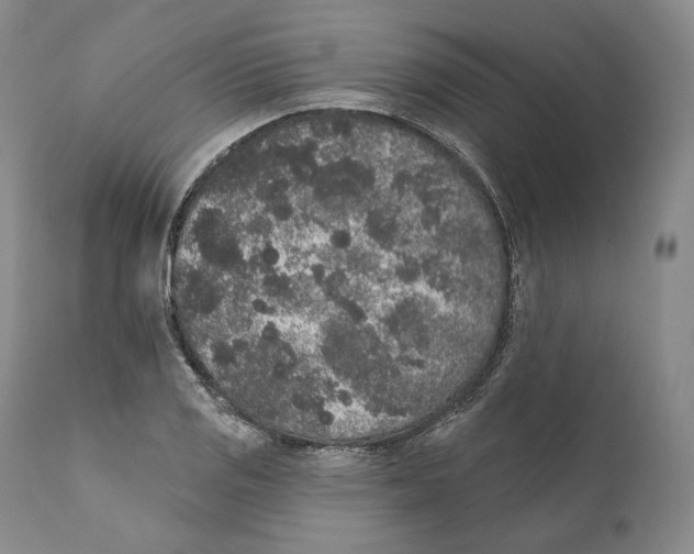 X0000110721125200907101357