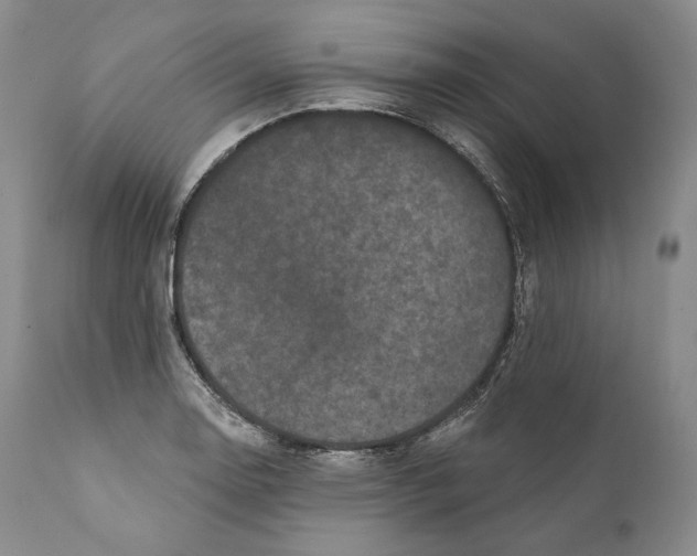 X0000110721130200907101357