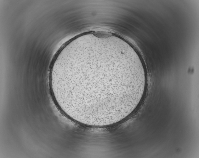 X0000110721133200907101357