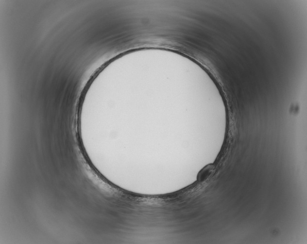 X0000110721136200907101357