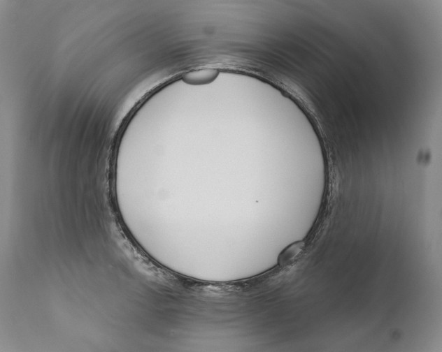 X0000110721138200907101357