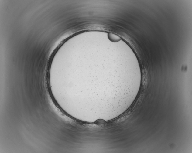 X0000110721139200907101357