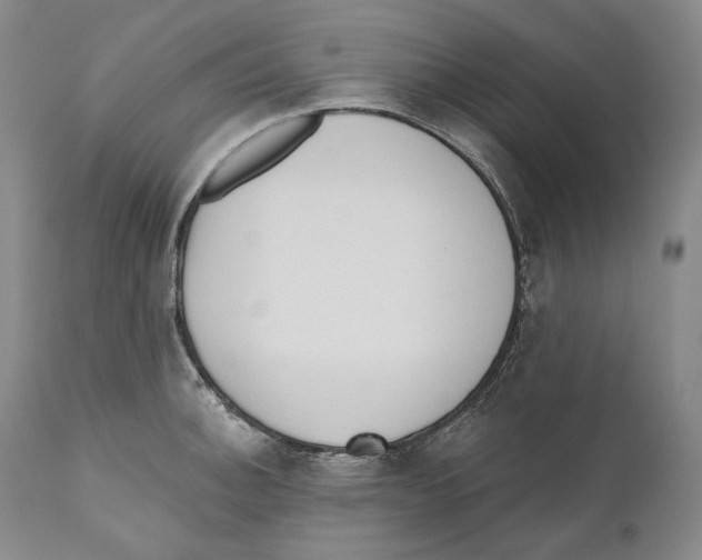 X0000110721140200907101357