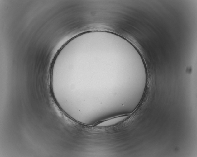 X0000110721144200907101357