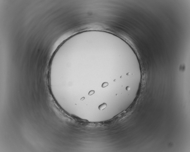 X0000110721146200907101357